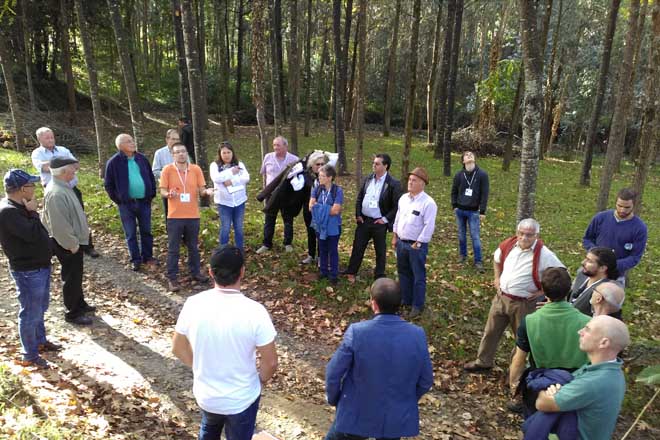 O proxecto Forest-in organizará en Galicia un curso para xestores forestais