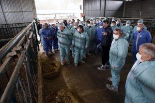 Douscentos gandeiros de Africor Coruña fórmanse en Xenética Fontao en reprodución bovina