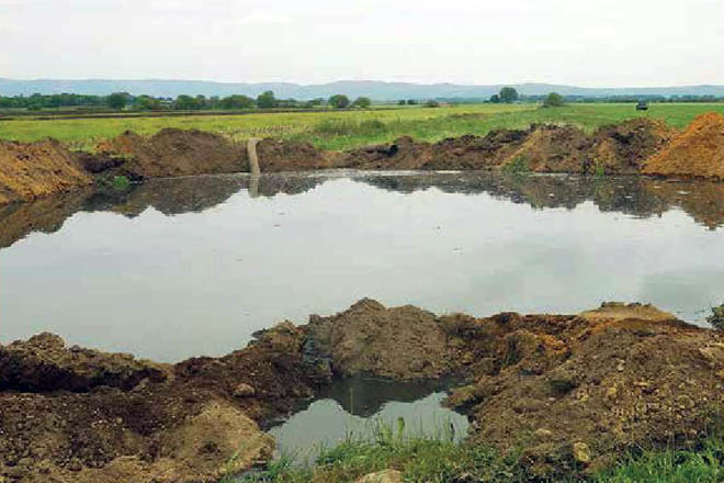El Gobierno aprobará este año un decreto sobre protección del agua contra los nitratos agrícolas