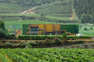 Grupo Reboreda Morgadío defende que cumpre a lexislacion de etiquetaxe de viños
