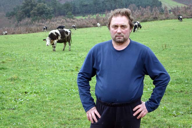 Vacas contra chalés, el caso de A  Sionlla