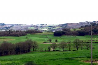 (I) A onde foron parar máis de 150.000 hectáreas de terras produtivas en Galicia nas últimas décadas?