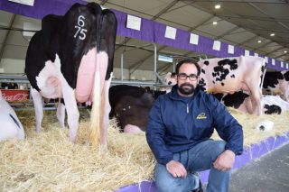 “En España hai que regular a profesión de podólogo bovino e mellorar a formación”