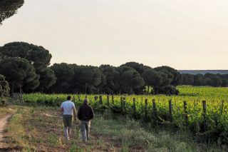 “En España cultivamos vide desde hai máis de 4.000 anos e fomos os primeiros en globalizar o viño”