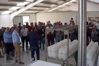 O Centro de Recría da Deputación de Lugo xa acolle 700 xatas de 50 gandeiros lucenses