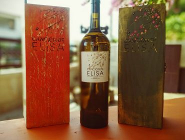 Un viño do Ribeiro, Canción de Elisa 2022, elixido mellor viño branco de España