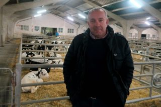 “Os becerros son un valor desaproveitado hoxe nas explotacións leiteiras galegas”