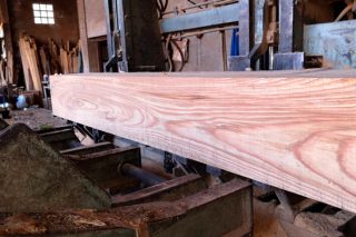 Recuperarase o uso das frondosas autóctonas para madeira serrada?