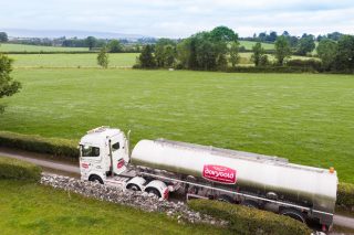 Así funciona DairyGold, a maior cooperativa láctea de Irlanda