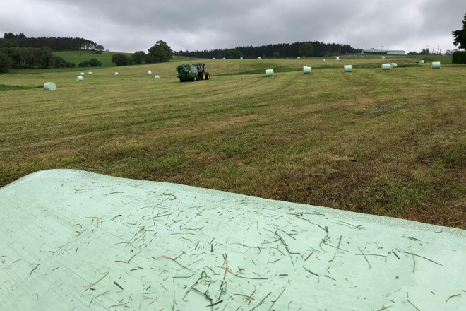 Campaña de ensilado de hierba 2019:  Buena en calidades y rendimientos