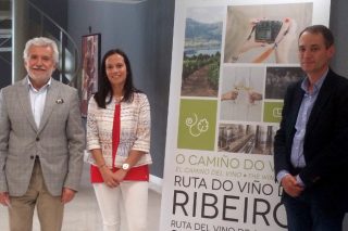 Programa para desfrutar do enoturismo na Ruta do Viño do Ribeiro