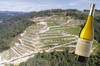 Un Ribeiro, Finca Viñoa, elixido o mellor viño branco de España 2019
