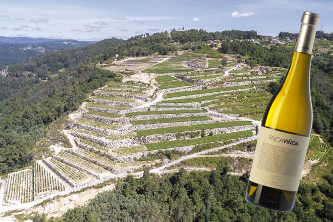 Un Ribeiro, Finca Viñoa, elegido el mejor vino blanco de España 2019