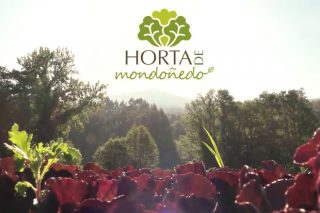 Novo vídeo promocional dos produtores de horta de Mondoñedo