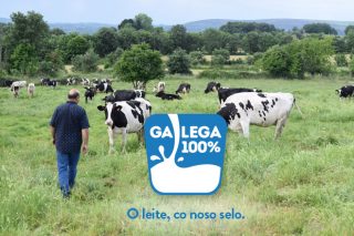 Galega 100%: O selo de garantía do leite de Galicia