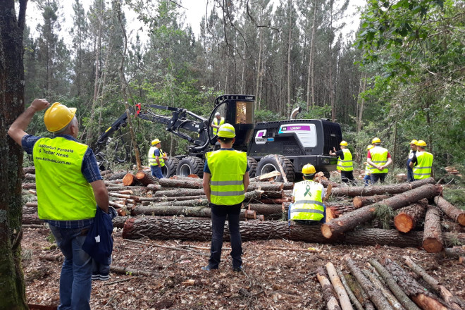 El sector forestal gallego en cifras