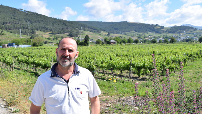 “Tenemos solicitudes para plantar viñedos de 30 o 40 hectáreas en Valdeorras, y cada vez a más altura”