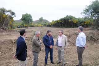 Comezan os traballos para poñer en produción 250 hectáreas abandonadas de Cualedro