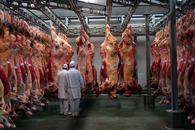 Frigoríficos Bandeira exporta un 27% da súa carne a Holanda e outros países europeos
