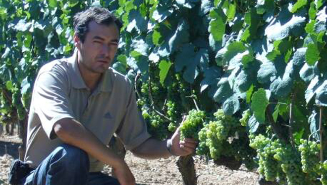 “Os pequenos viticultores somos auténticos sufridores do viñedo, pero non nos rendemos”