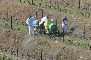 Curso de renovación do carné de aplicador de fitosanitarios en Lugo