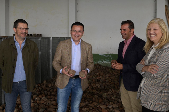 Galicia logra ser autosuficiente en producción de sementes forestais de gran calidade