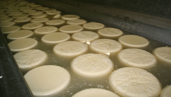 Nace el primer método efectivo para cuantificar leches de diferentes especies en quesos de mezcla