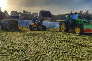 Vídeo e imaxes do ensilado do millo en Galicia 2019
