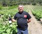 “En Valdeorras logramos un viño expectacular coa variedade Brancellao”