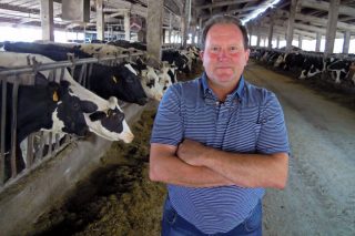 A Campiña, 30 anos producindo leite nunha das SAT máis veteranas de Galicia
