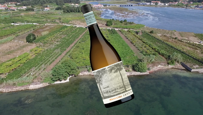 Martín Códax Arousa es elegido el mejor vino blanco del año en España en los premos Verema