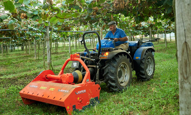 BCS Group deseña un tractor idóneo para cultivos en emparrados, como kiwi ou viña