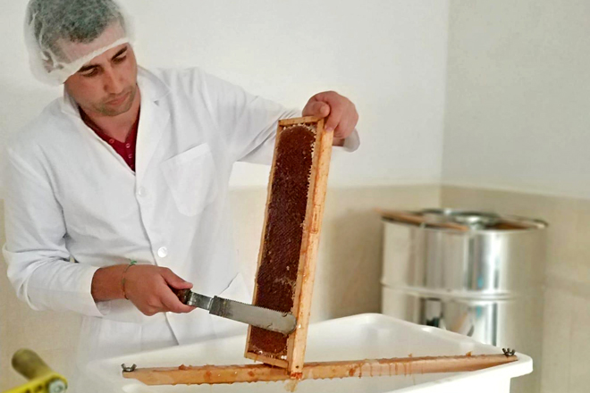 Novas formacións sobre mel en Becerreá, As Pontes e Monforte de Lemos