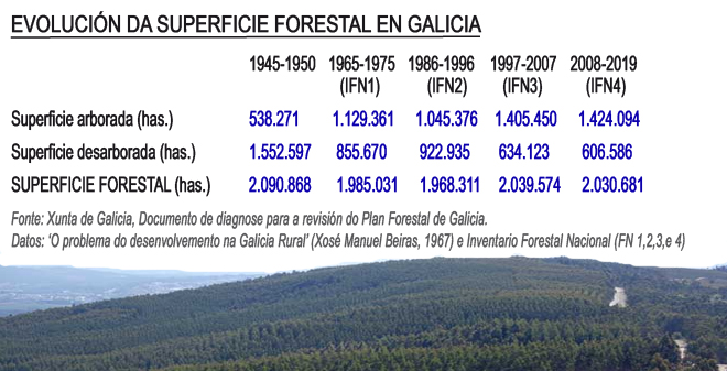 grafico evolución Superficie Forestal en Galicia