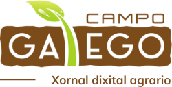 Campo Galego