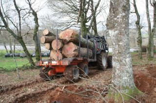 Autorizados os desprazamentos dos propietarios forestais para vender madeira