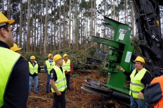 Forest Pioneer presenta a nova cortadora de cizalla TMF 600, especial para eucalipto e made in Galicia
