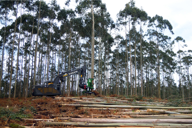 Los propietarios forestales de Galicia aumentan la facturación un 40% en los últimos dos años