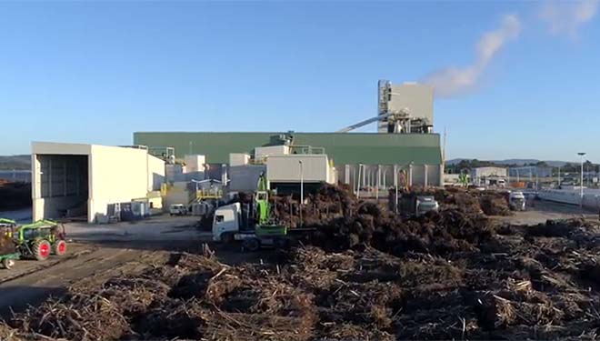 Greenalia arranca la central de biomasa de Curtis