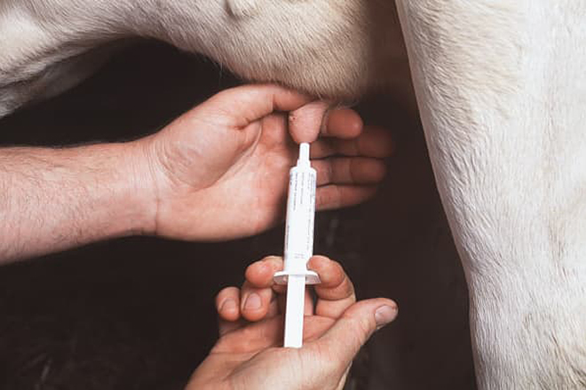 El Gobierno fijará un límite en el consumo de antibióticos de las ganaderías