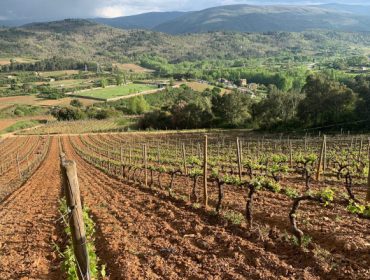 Xornada sobre fertilización sustentable e estado nutricional dos solos vitícolas galegos