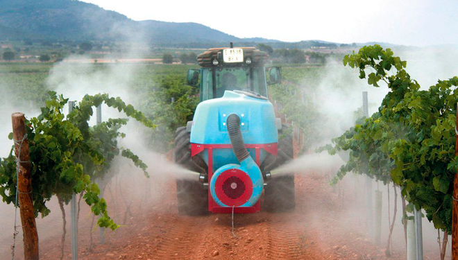 Claves en el uso del azufre en la viticultura: cuándo y cómo aplicarlo