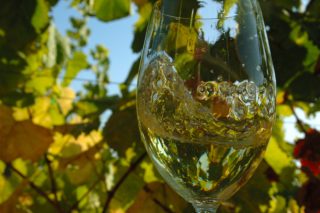Un branco e un tinto galegos, os mellores viños de España nos Premios Baco