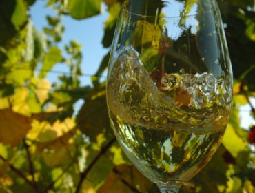 As cifras dos viños brancos en España: consumo, exportacións e perspectivas