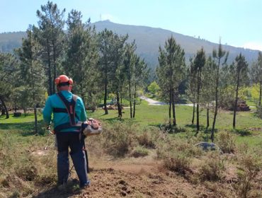 A Xunta actuará en 5.500 hectáreas de monte e 2.200 quilómetros de pistas para previr o lume