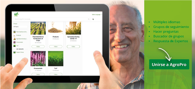 ICL crea AgroPro, un servicio online sobre nutrición de cultivos