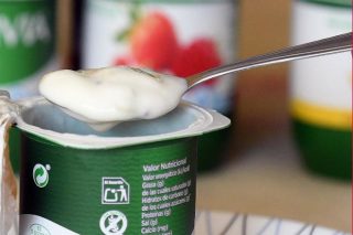 Transglutaminasa: a enzima que mellora a elaboración de iogur desnatado e queixo