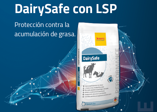 DairySafe: El aditivo de preparto para mejorar la salud del hígado en vacas lecheras y reducir la cetosis