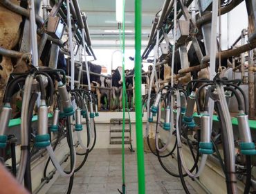 Os prezos do leite seguen subindo pola baixada da produción e a ‘guerra’ entre industrias