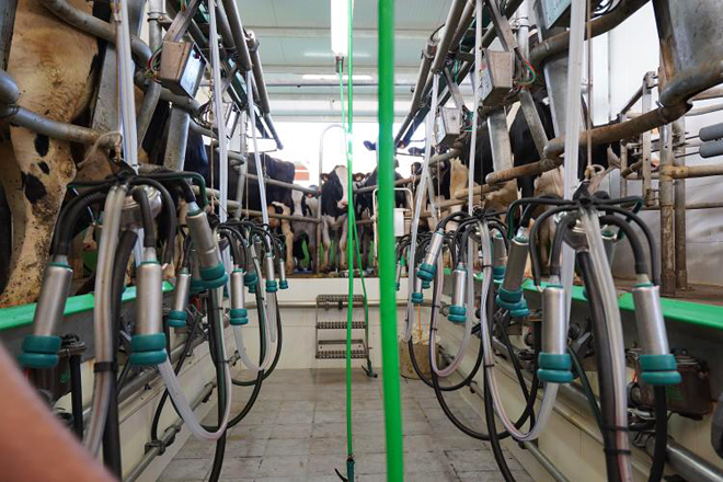Os prezos do leite seguen subindo pola baixada da produción e a ‘guerra’ entre industrias